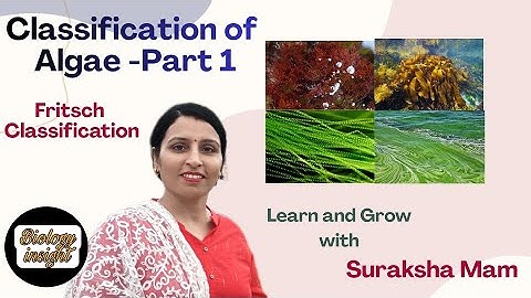 Classification Of Algae (Fritsch Classification)- Part 1