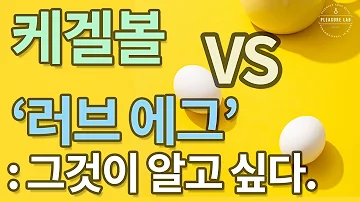 케겔볼 VS 에그 바이브레이터 : 그것이 알고 싶다. | 기쁨 연구소 PLEASURELAB 플레저랩 플래져랩 케겔볼 골반저근운동 케겔운동