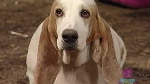 Sing And Dance Credits Comparison (Screener vs. Final Version) (V1) (Demo Version) Part 22