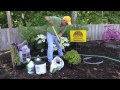 Landscaping Tips - How To Plant A Plant