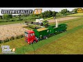 Harvesting & Selling Field Grass & Making Grass Silage ⭐ Greenwich Valley #79 ⭐ FS19 TimeLapse