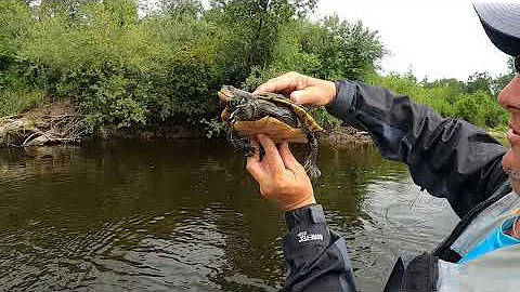 Fishing Muskegon River in Michigan with Betts Guid...