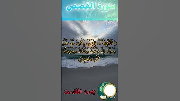 قراءة هادئة لسورة القصص بصوت الطفل معاذ #تلاوة_هادئة #دويتو #المصحف #تلاوه