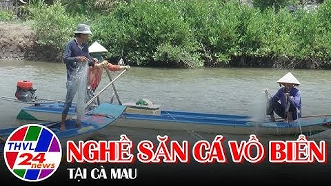 Nghề săn cá vồ biển tại Cà Mau