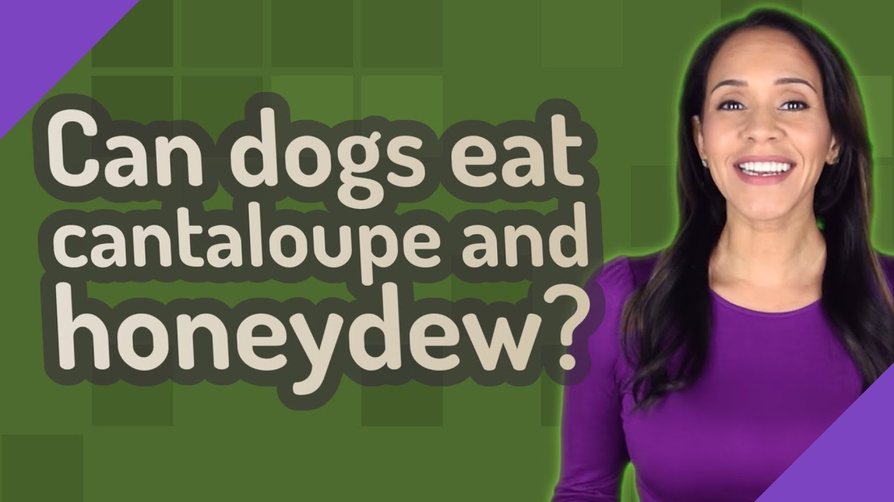 Can Dogs Eat Cantaloupe And Honeydew?