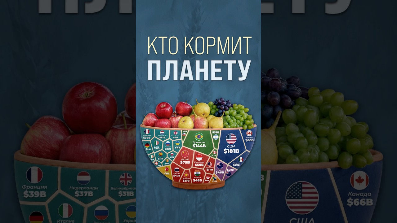 Кто кормит планету? #страны #еда #россия — Transcript