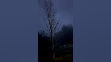 ￼ Johnny Cash ￼#maple