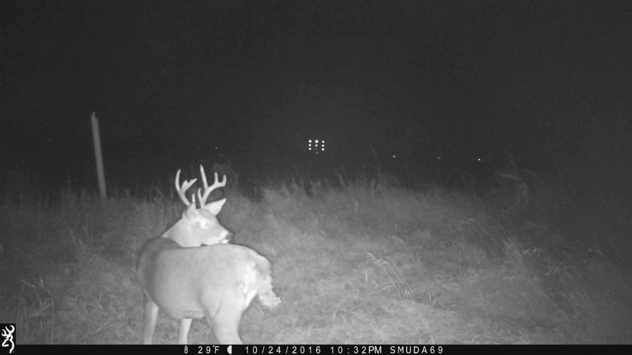 Trail cam YouTube