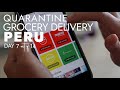 How to Order Groceries from Quarantine // Day 7 in Lima Peru