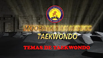 ¿A qué edad es mejor practicar taekwondo?