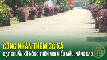 Công nhận thêm 36 xã đạt chuẩn xã nông thôn mới kiểu mẫu, nâng cao