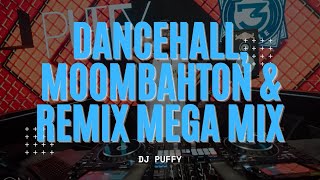 Dancehall, Moombahton &amp; Remix Mega Mix