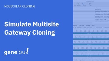 How to Simulate Multisite Gateway Cloning with Geneious Prime