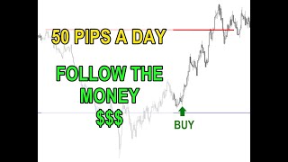 50 PIP$ A DAY |  FOLLOW THE MONEY  $$$