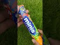 The Orange Kitten In The Zombie Family Prank Comedy Cat Cute Catlovers Cutecat Pets Funny The Orange Kitten In The Zombie Family Prank Comedy Cat Cute Catlovers Cutecat Pets Funny