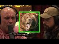 Ben obriens grizzly bear encounter