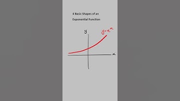 4 Basic Shapes of an Exponential Function You Need to Know | Maths Methods