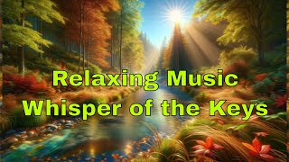 Relaxation & Stress Relief Music Meditation Melodies, Lofi, Sleep Music - Whisper of the Keys