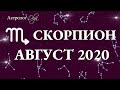 СКОРПИОН ГОРОСКОП на АВГУСТ 2020. Астролог Olga