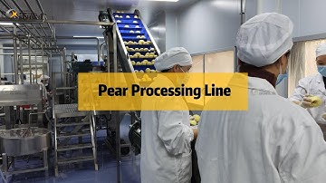 2022 where to find best NFC pear juice production line manufacturer?