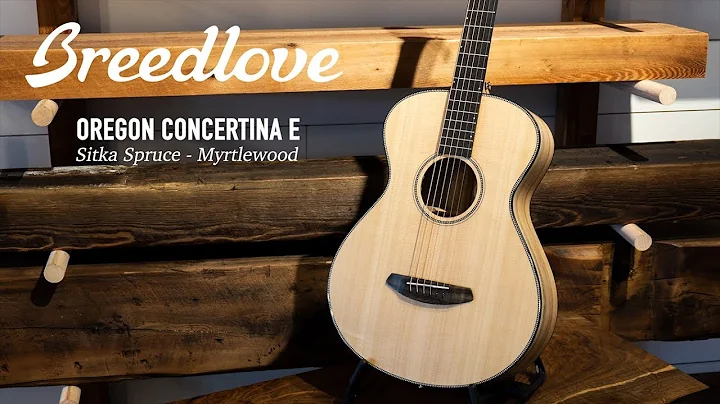 Breedlove | Craftsmanship Beyond Comparison