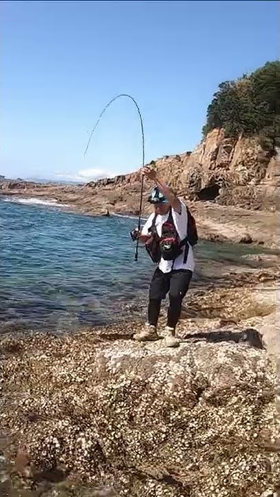 釣りいろは
