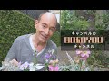 まもなく公開 / Coming soon !