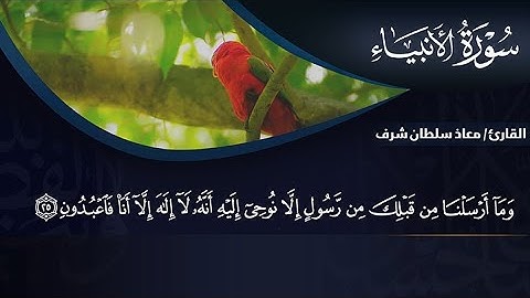 ما تيسر من سورة الأنبياء بصوت القارئ / معاذ سلطان شرف 2021