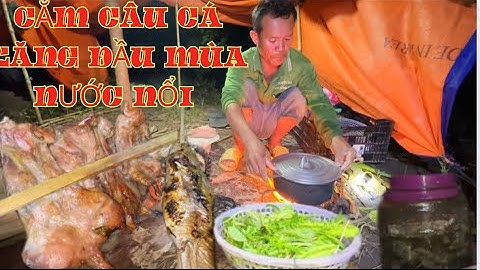 TẬP.94.cắm câu cá lăng vàng đầu mùa nước nổi /GIÓ LÀNG QUÊ