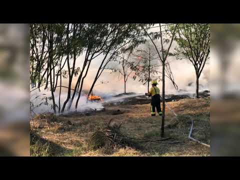 INCENDIO EN EL TULIO OSPINA