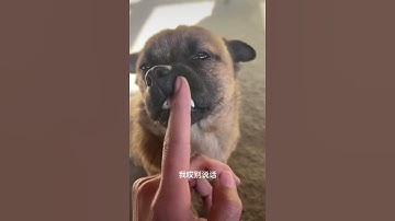 Thumbnail of 唐伯虎点秋香