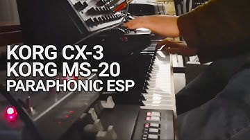 Paraphonic Korg MS-20 and CX-3 - External Signal Processing (ESP)