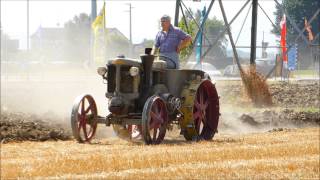 TRECASALI 2013   ARATURA TRATTORI D'EPOCA