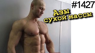 Как нужно питаться чтобы набрать мышцы без жира. Сколько пить воды, сколько есть углеводов Как нужно питаться чтобы набрать мышцы без жира. Сколько пить воды, сколько есть углеводов