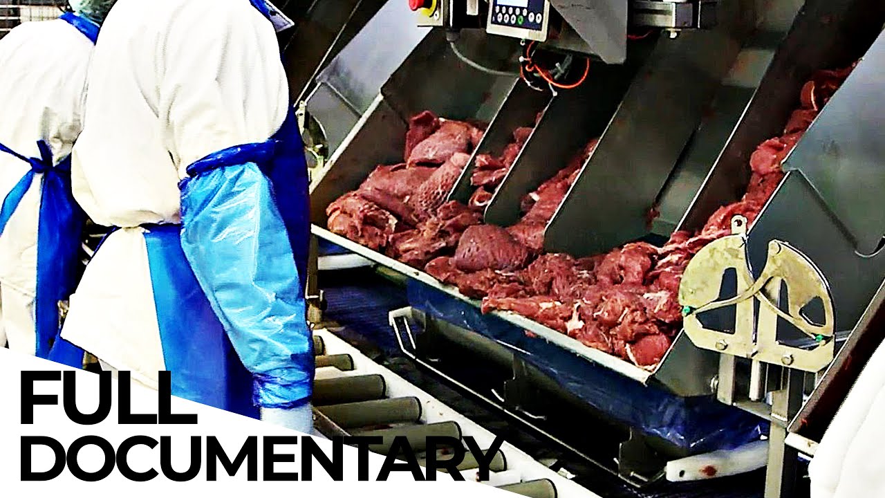 The Meat Lobby: How the Meat Industry Hides the Truth