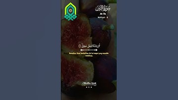 سورة التّين || Surah At-Tin