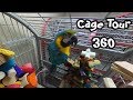 360 Degree Video Tour of Parrots' Cages