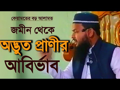 কেয়ামতের বড় আলামত জমীন থেকে অদ্ভুত প্রাণী বের হওয়া