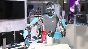 Grasping with the DLR Hand Arm System