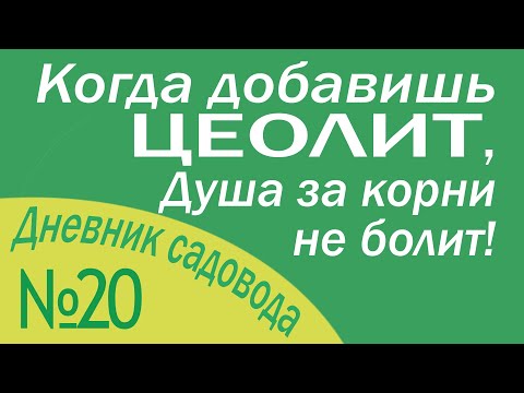 Цеолит. Результат применения на рассаде (часть1)