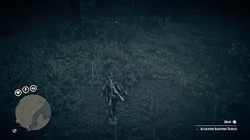 RDR2 Online - How to spawn turtle for camp resupply