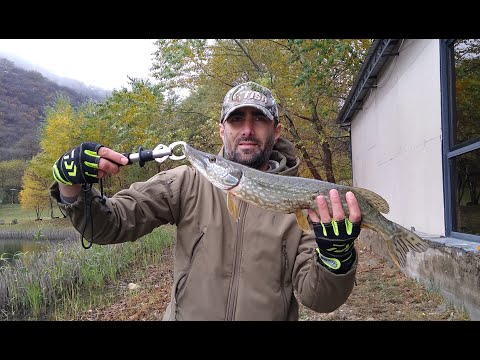 თევზაობა სპინინგით კუს ტბაზე გიორგისთან ერთად!  #კალმახი #ქარიყლაპია #ქორჭილა