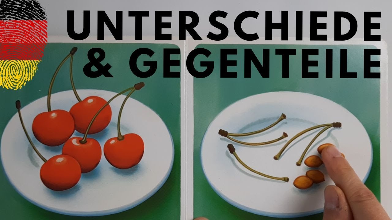 Differences and opposites | comprehensible PreA1/A1 Lesson