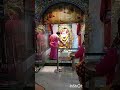 CHITLAPAKKAM SAIBABA 5th March 2026 Special Dharshan