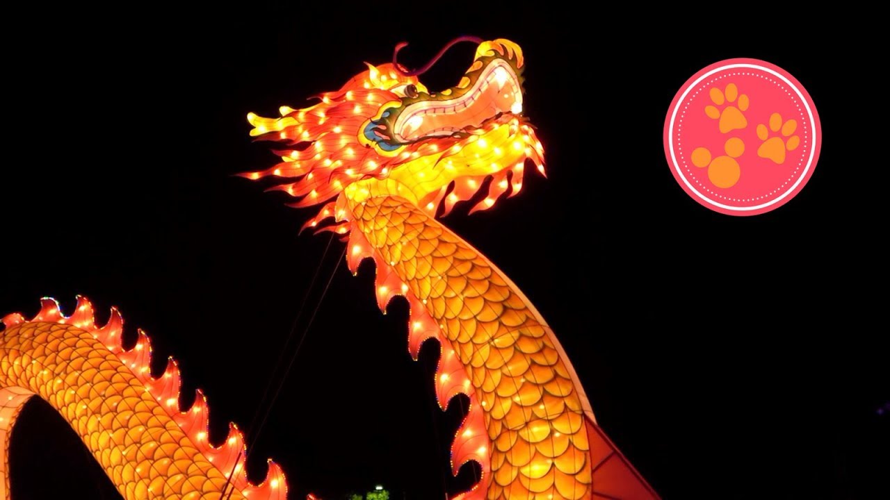 disney world vlog youtube TIFFANY'S BIRTHDAY! 🎉 DRAGON LIGHTS & BABALU IN KNOXVILLE | April 2018 (Two Cats- Ep. 94)