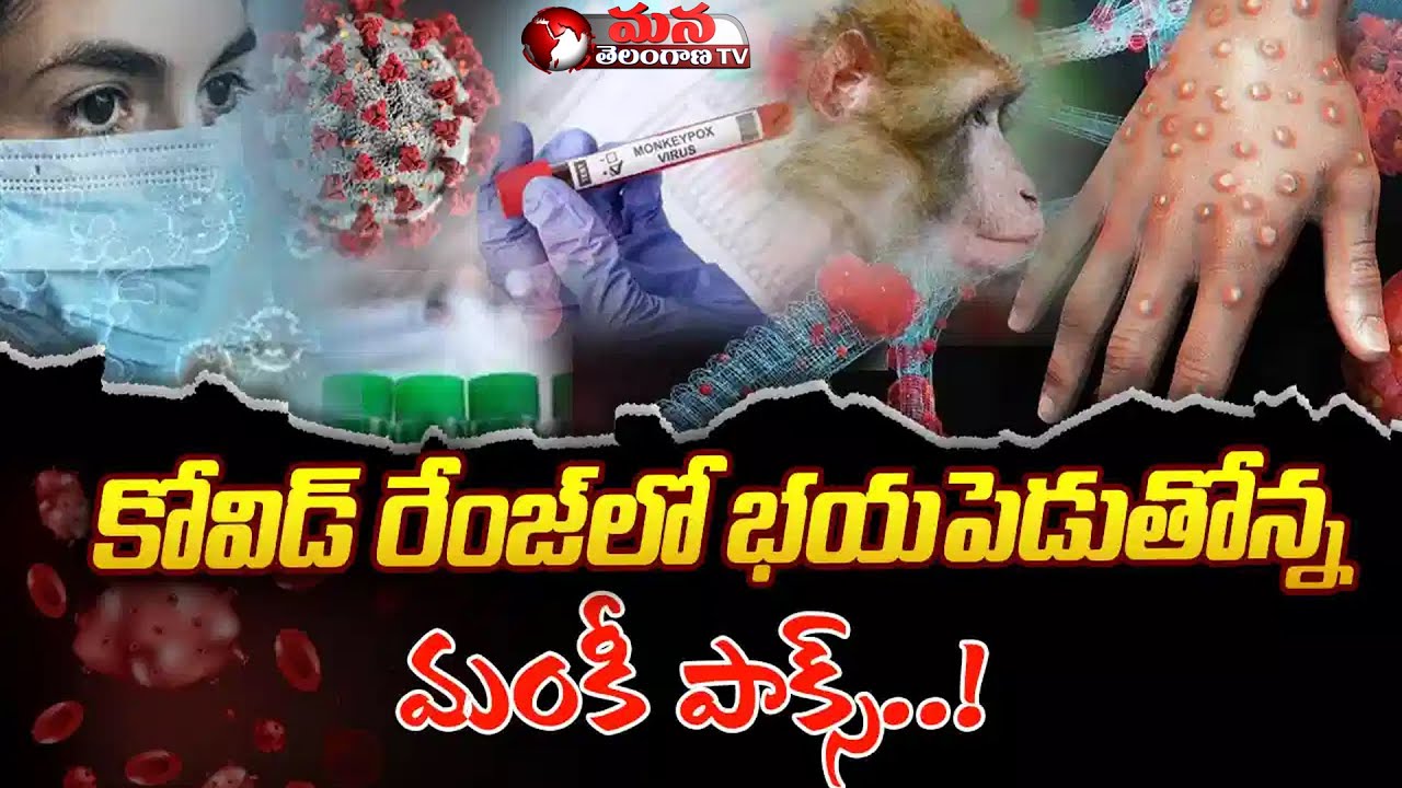 భయపెడుతోన్న మంకీ పాక్స్ India Reports First Suspected Monkeypox Case ...