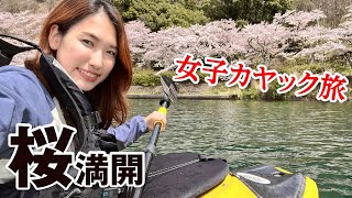 【キャンプ女子】富山で掬ったホタルイカをキャンプ飯した結果・・／海津大崎をカヤックで桜の通り抜け@滋賀