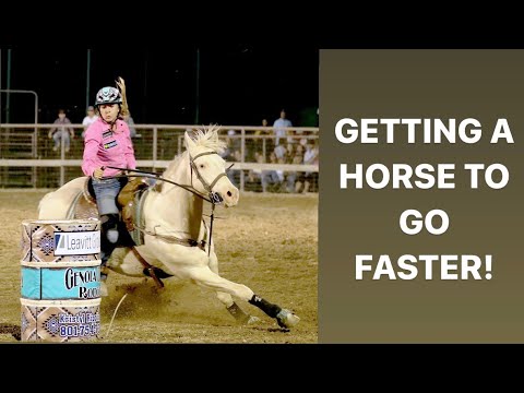 Wideo: Wskazówki dotyczące treningu koni: jak trenować do wyścigów beczkowych, z wideo