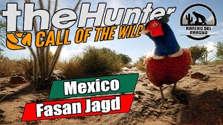 The Hunter Call of the Wild – MEXICO – Auf FASAN Jagd mit DLC Waffe |  Deutsch