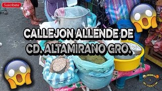 Callejon Allende De CD. Altamirano Gro.